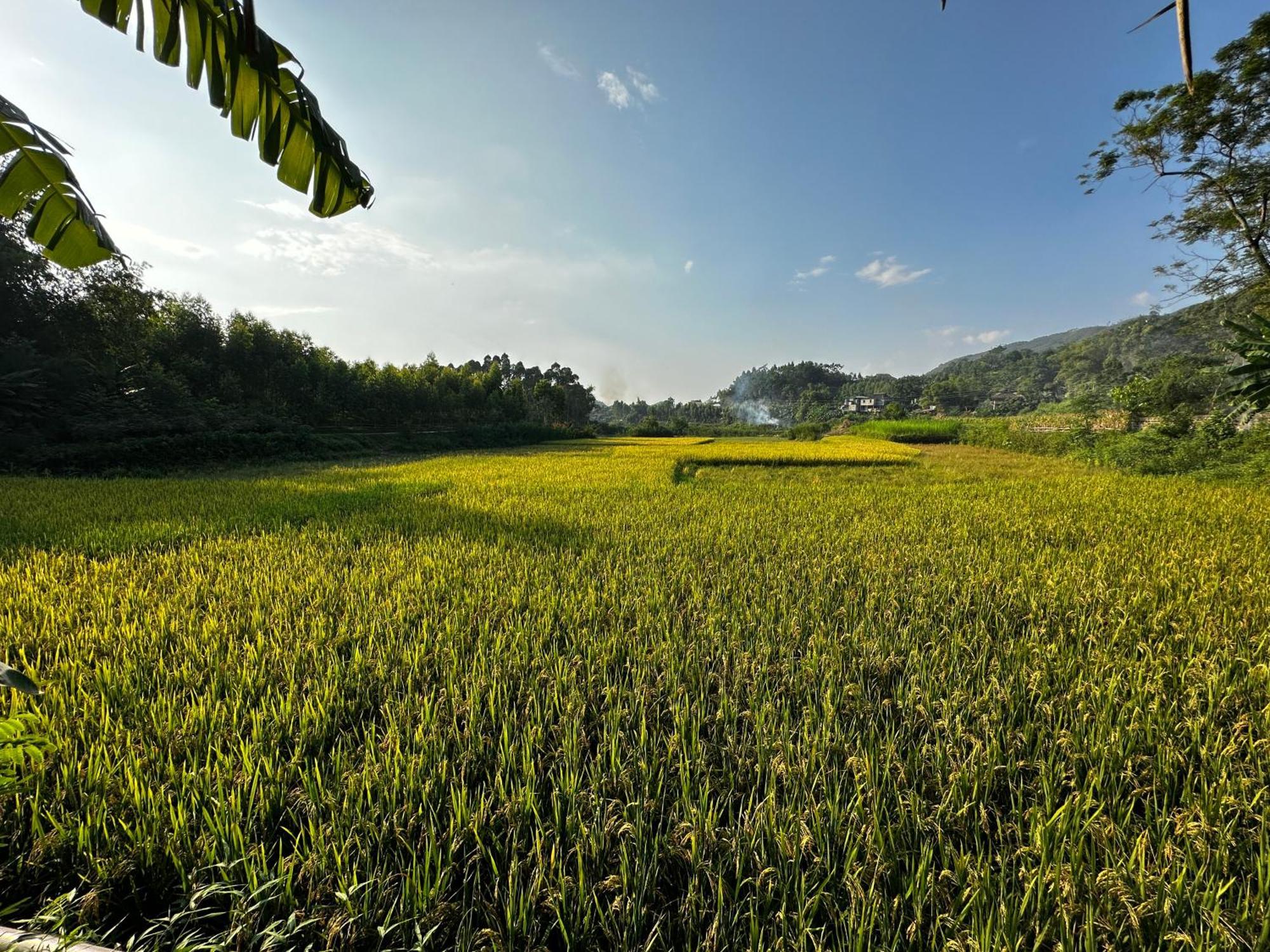 Vulinh Family -Homestay Yen Binh Екстер'єр фото