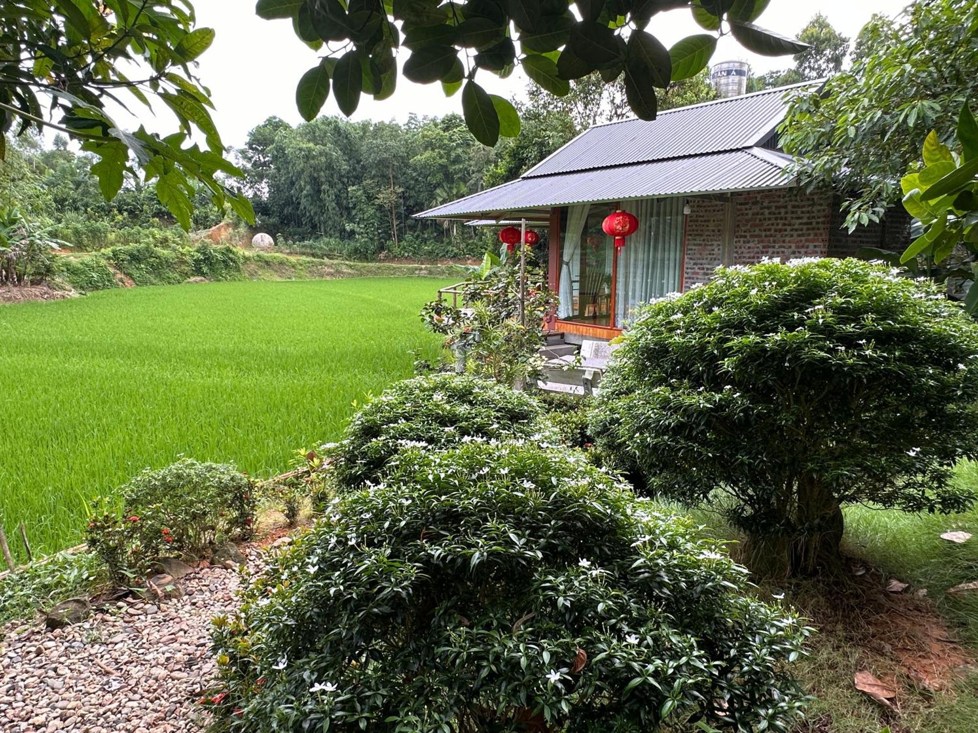Vulinh Family -Homestay Yen Binh Екстер'єр фото