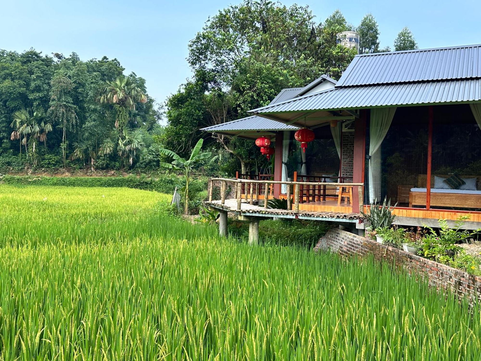 Vulinh Family -Homestay Yen Binh Екстер'єр фото